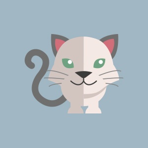 Gatos