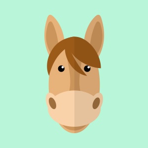 Caballos