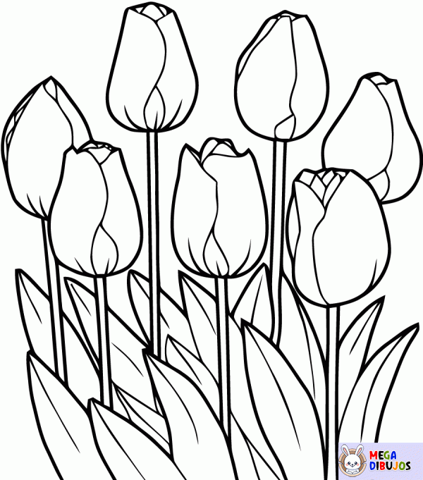 Dibujo para colorear Tulipanes