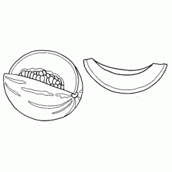 Dibujo para colorear Mel&oacute;n charentais