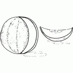 Dibujo para colorear Mel&oacute;n