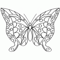 Dibujo para colorear Bonita mariposa