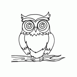 Dibujo para colorear B&uacute;ho en su rama