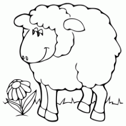Dibujo para colorear Oveja y margarita