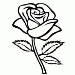 Dibujo para colorear Rosa roja