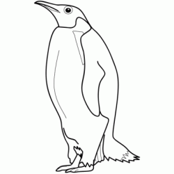 Dibujo para colorear Ping&uuml;ino de pie alto