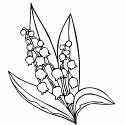 Dibujo para colorear Primero de mayo lirio de los valles