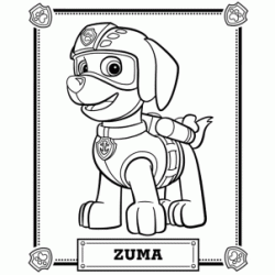 Dibujo para colorear Zuma