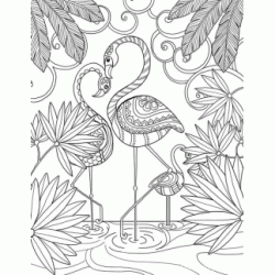Dibujo para colorear Flamenco