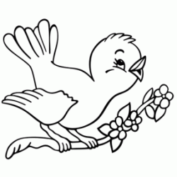 Dibujo para colorear Peque&ntilde;o p&aacute;jaro cantor