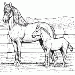 Dibujo para colorear Una yegua y su potro