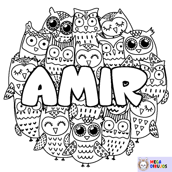 Coloración del nombre AMIR - decorado b&uacute;hos