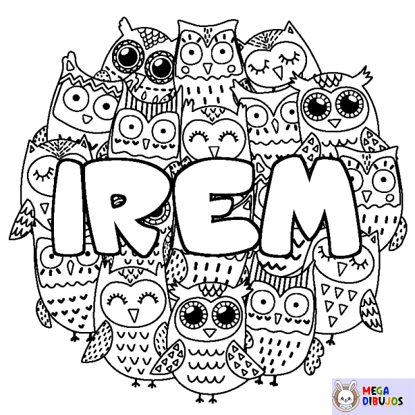 Coloración del nombre IREM - decorado b&uacute;hos