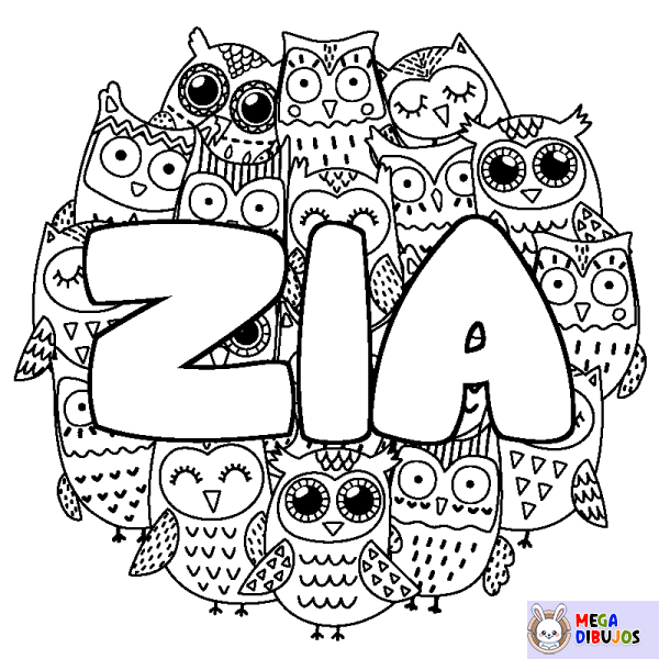 Coloración del nombre ZIA - decorado b&uacute;hos