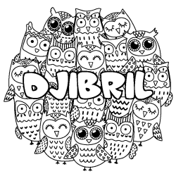 Coloración del nombre DJIBRIL - decorado búhos